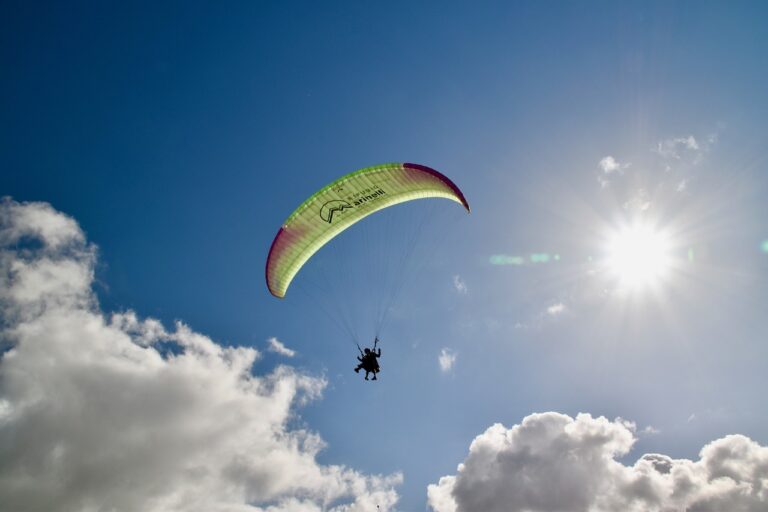 Reddybook Review: How the Innovative Platform Transforms Education Management